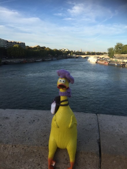 Klondike posing in front of the river Seine in Paris