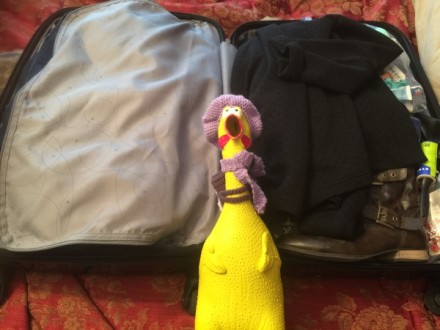 Klondike is packed and ready for his adventure to Paris, France! (2015)