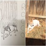 I missed my dog Rocco while in the hospital. So I drew him from the picture I have on my cellphone.