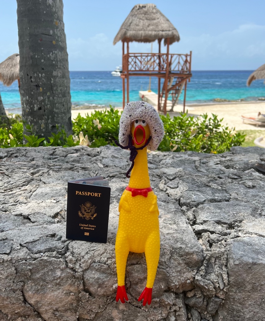 Birdee has just arrived in Cozumel and seen the ocean and beach! She is my World Traveler Mascot. Thanks Birdee for going places I can not go!